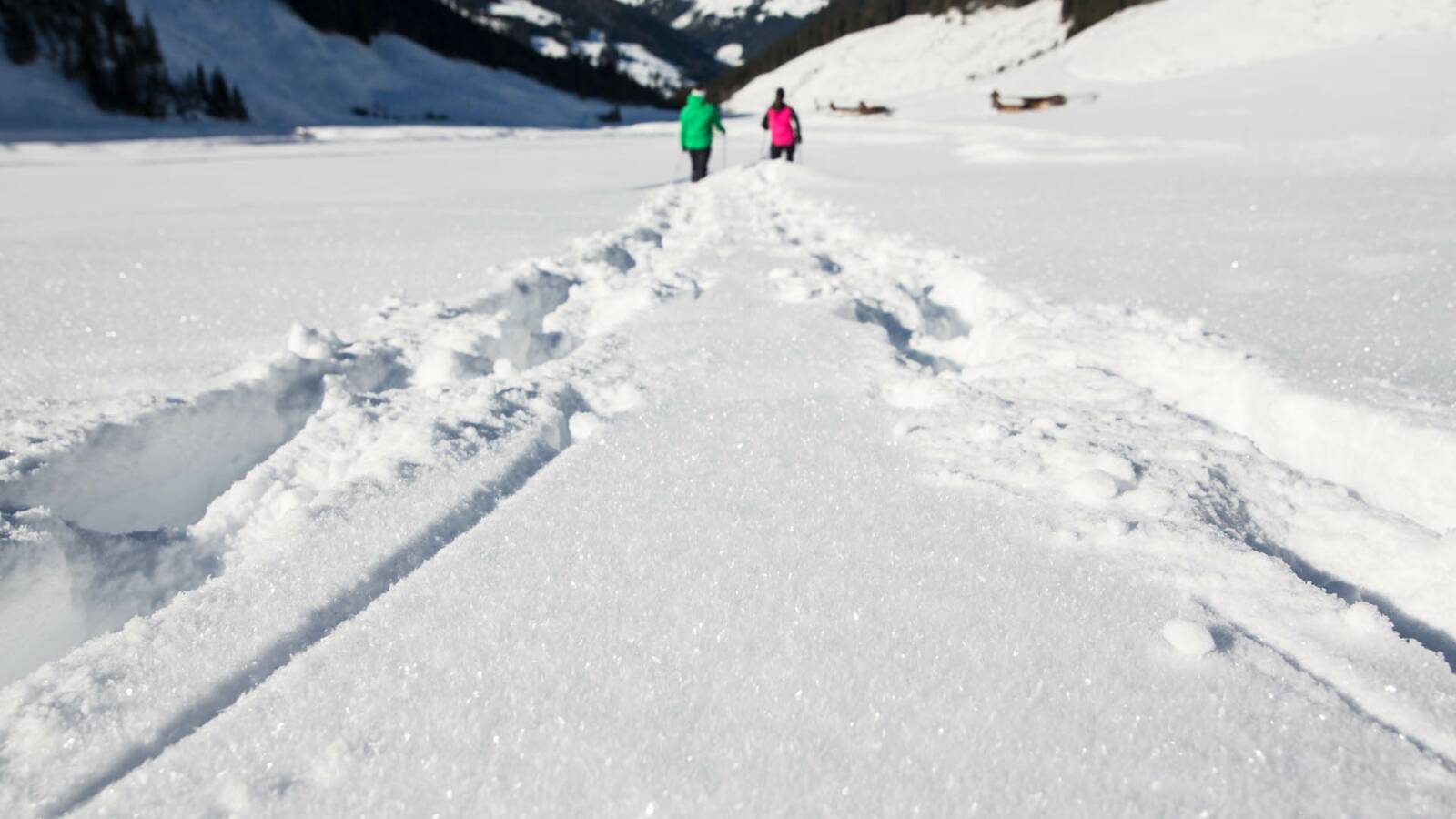 Huaterhof Zillertal